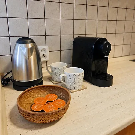 Karlove Ii Modern 2 With Private Free Parking, Ac And Easy Access *
